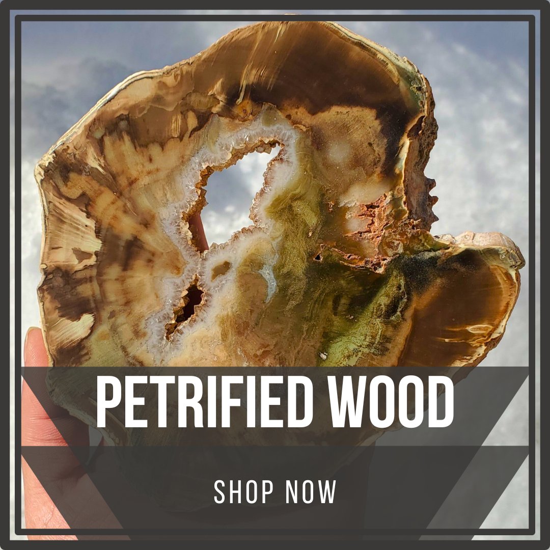 Petrified Wood