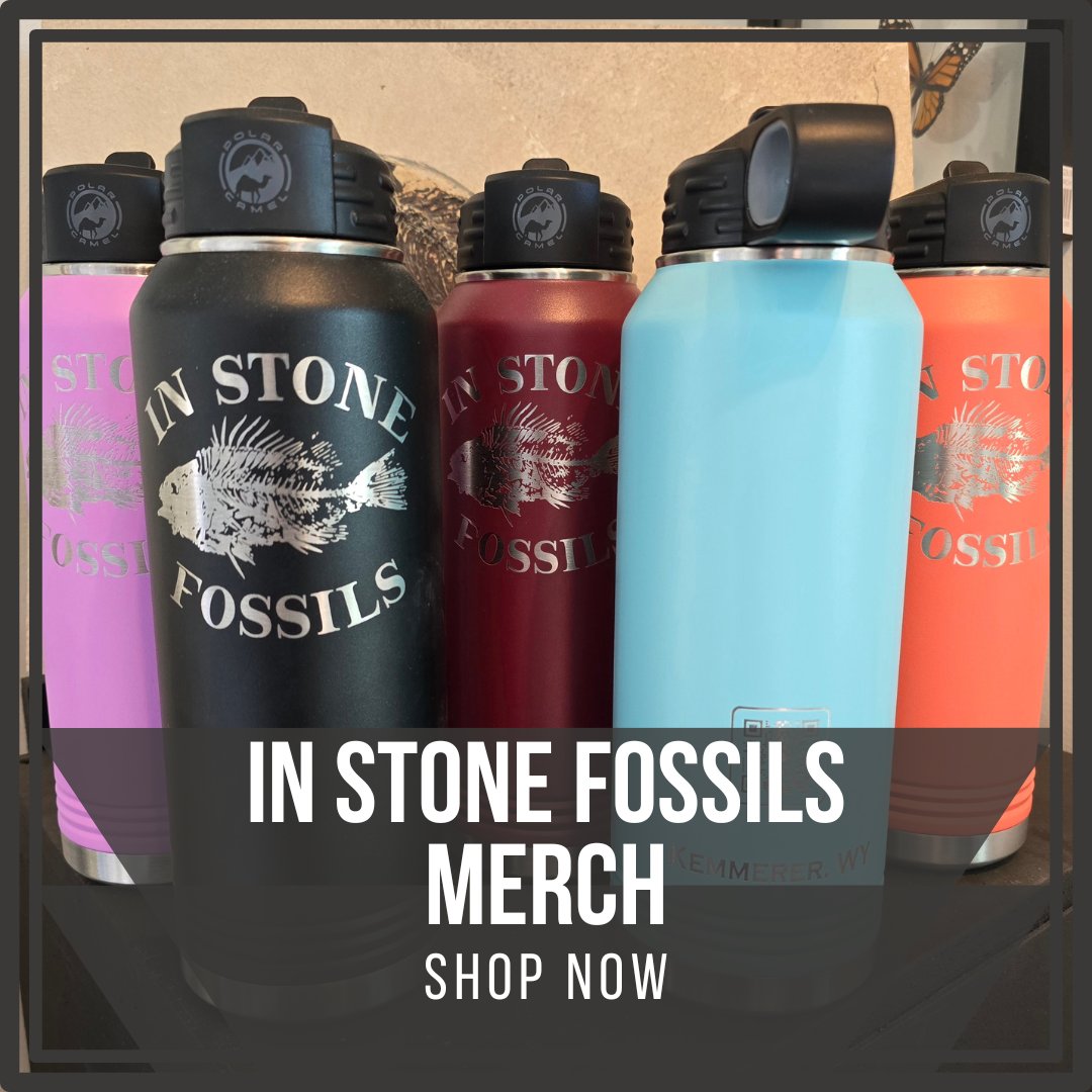 Merchandise