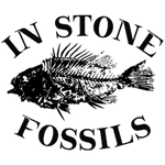In Stone Fossils