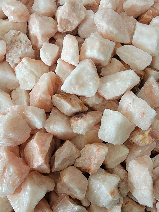 In Stone Fossils