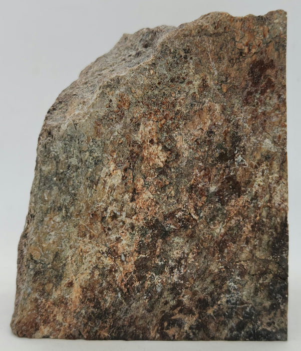 Authentic Dinosaur Bone Section