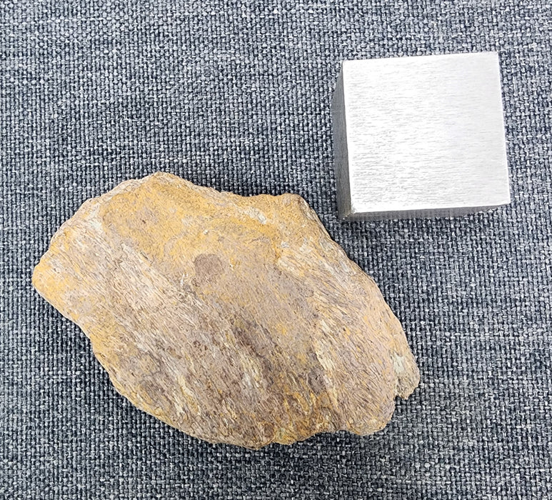 Edmontosaurus Bone | Montana