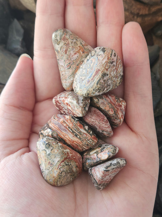 Leopard Skin Jasper