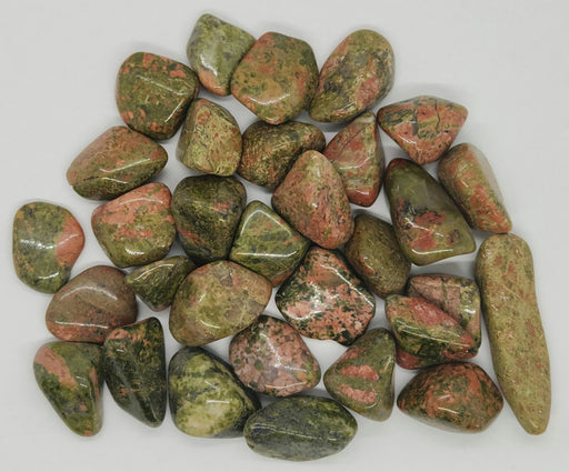 In Stone Fossils