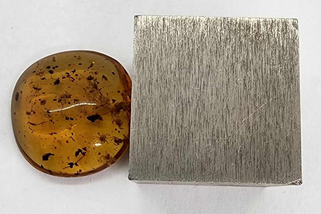 Rare Burmese Amber Spiderling Specimen