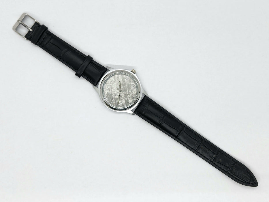 Muonionalusta Meteorite Watch