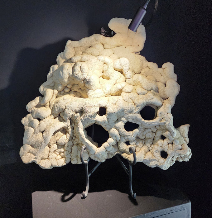 Tufa | Aquarium Safe Limestone Formation | Nevada Ancient Sea Floor