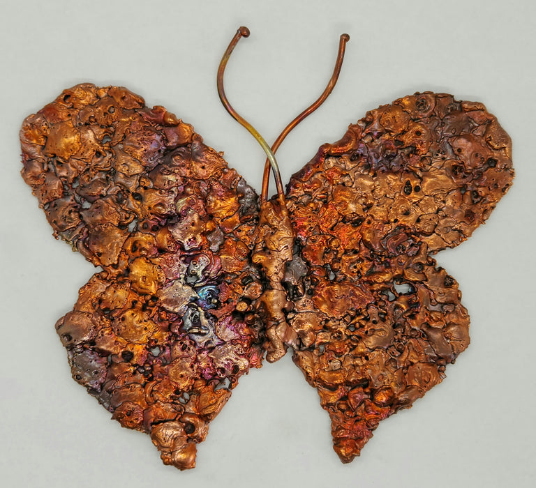 Beautiful Copper Splash Butterfly | Large