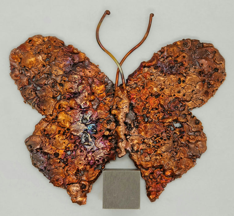 Beautiful Copper Splash Butterfly | Large