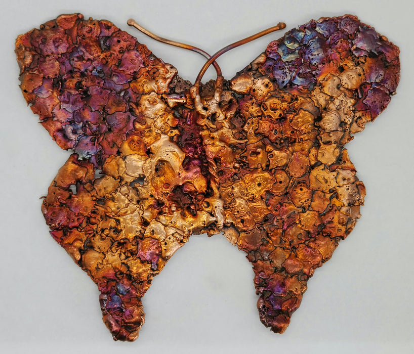 Beautiful Copper Splash Butterfly | Large