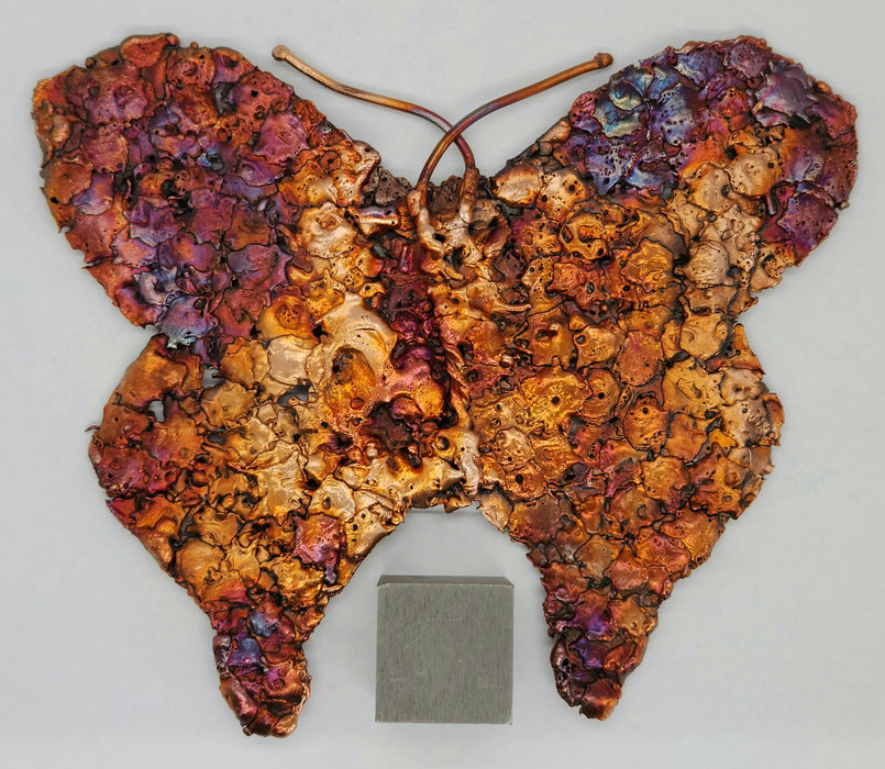 Beautiful Copper Splash Butterfly | Large