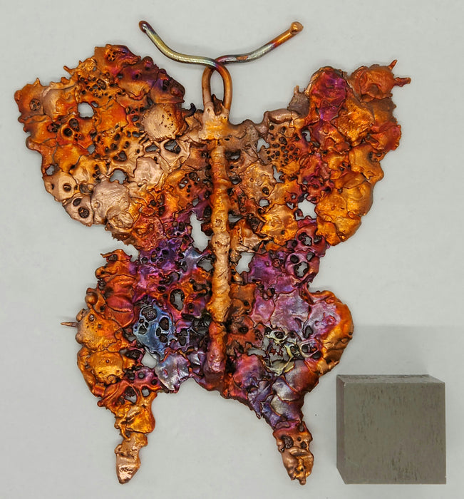 Beautiful Copper Splash Butterfly | Small