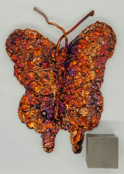 Beautiful Copper Splash Butterfly | Small