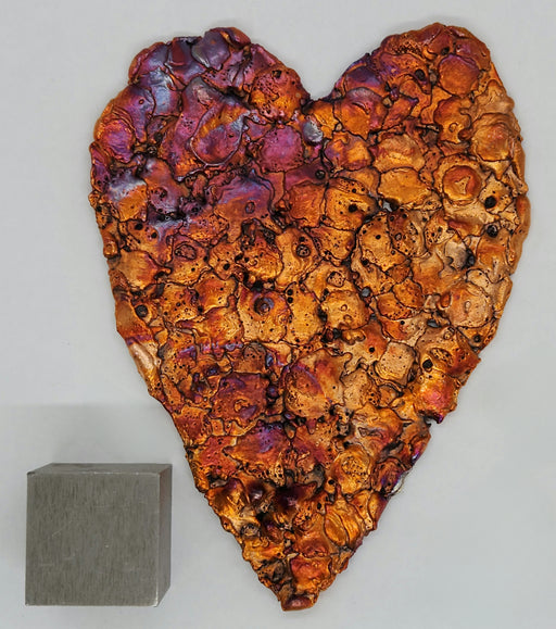 In Stone Fossils