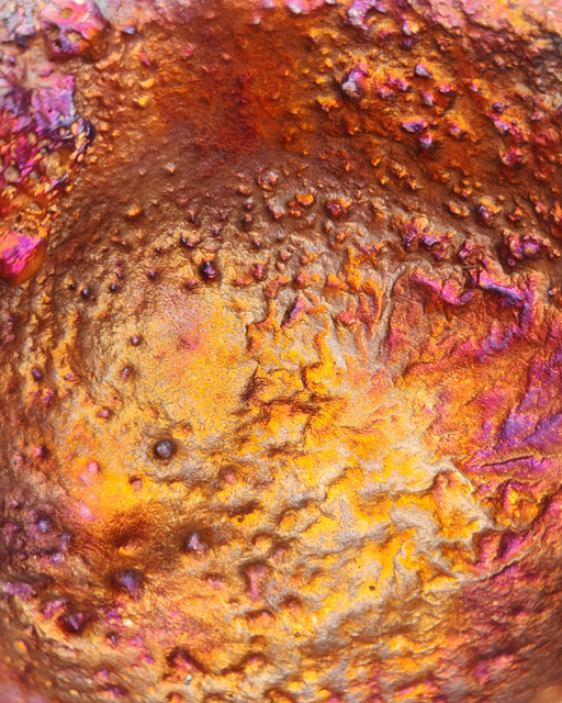 In Stone Fossils