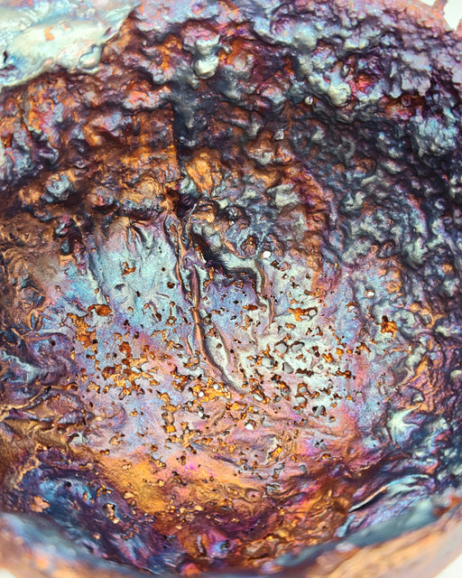 In Stone Fossils