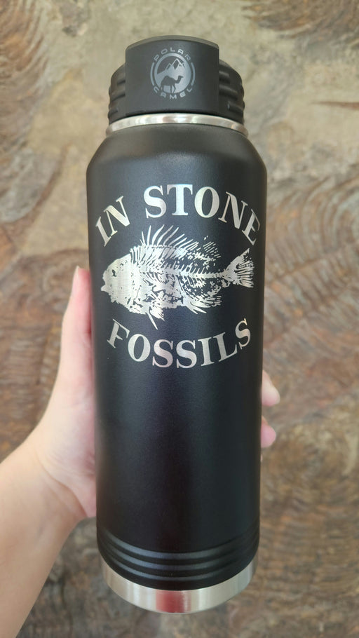 In Stone Fossils