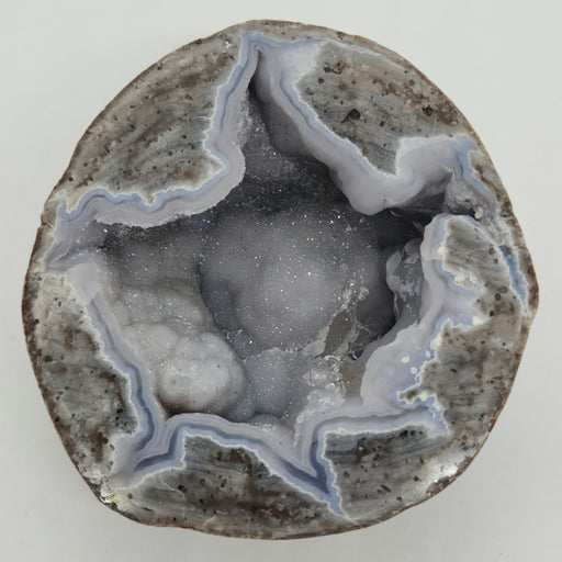 In Stone Fossils