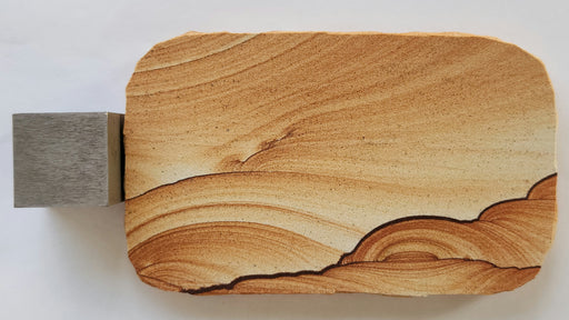 In Stone Fossils