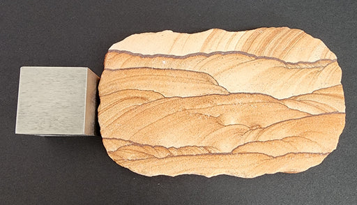 In Stone Fossils