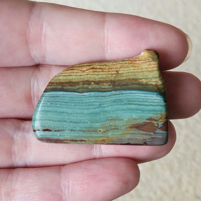 Gary Green Jasper (Larsonite) | Oregon
