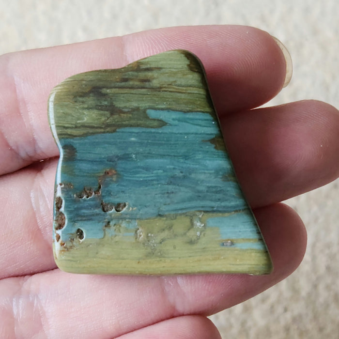 Gary Green Jasper (Larsonite) | Oregon