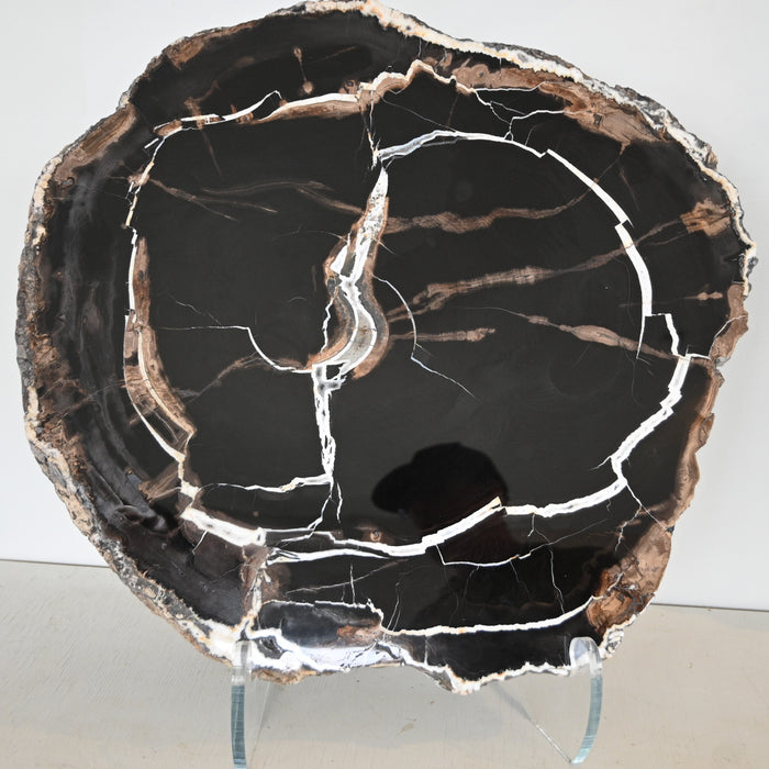 Sycamore Wood Slab | Oregon