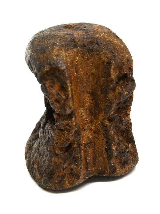 Hadrosaur Vertebra (Cervical?) | Judith River Formation | Montana