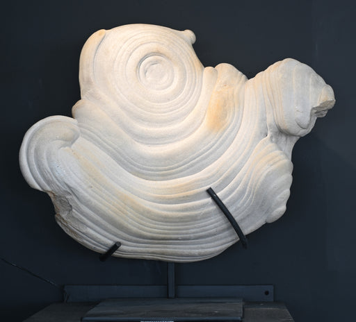 In Stone Fossils