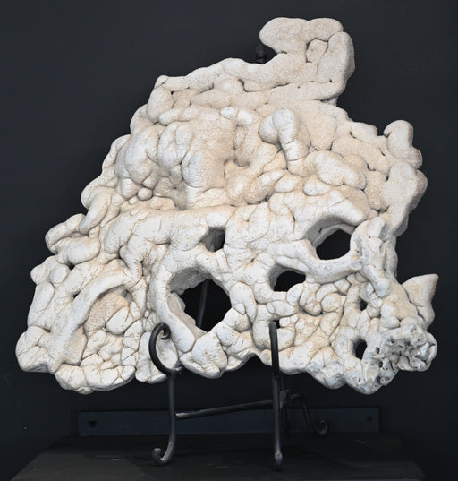 In Stone Fossils
