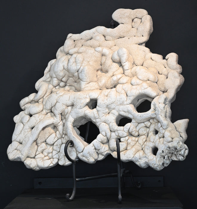 Tufa | Aquarium Safe Limestone Formation | Nevada Ancient Sea Floor
