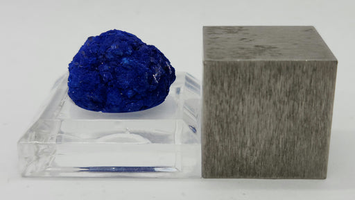 In Stone Fossils