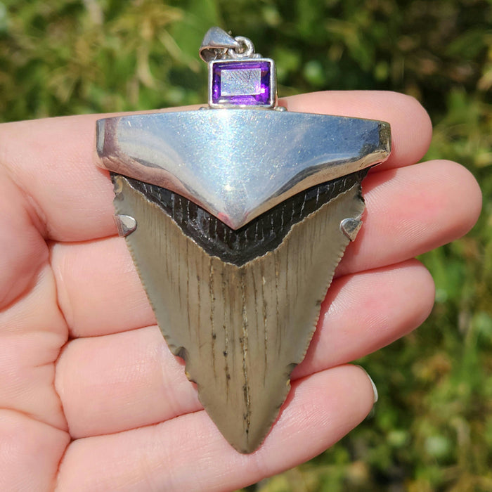 Megalodon Tooth Pendant with Amethyst Jewel