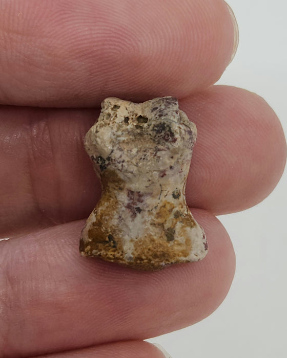 Dimetrodon Toe Bone | Texas