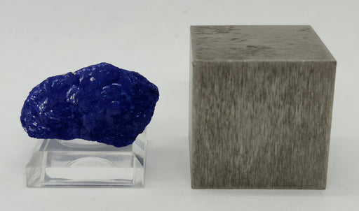 In Stone Fossils