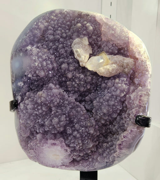 In Stone Fossils