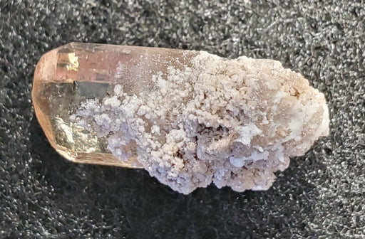 In Stone Fossils