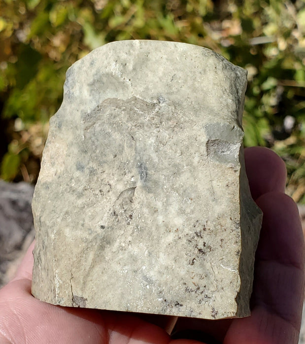 Wyoming Jade