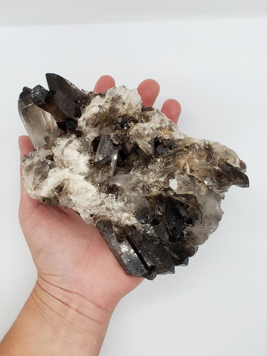 Multi-Terminated Points Smoky Quartz