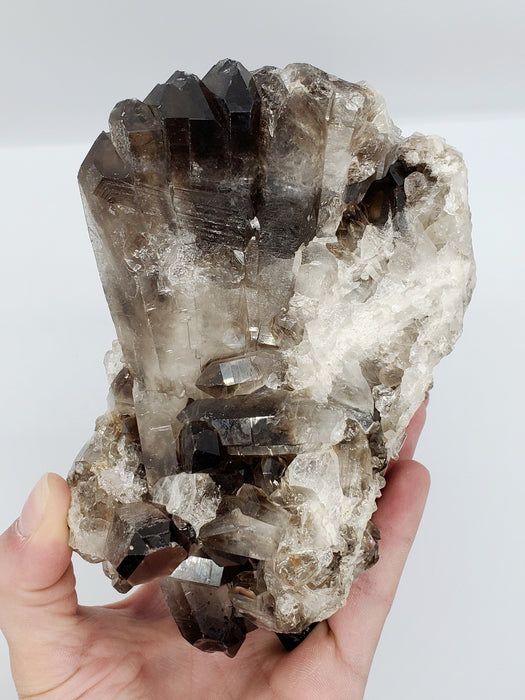 Multi-Terminated Points Smoky Quartz