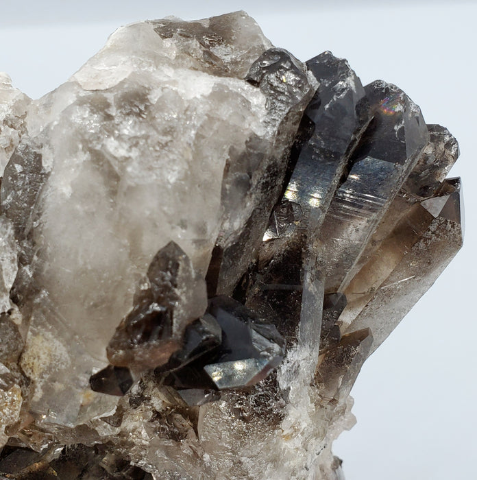 Multi-Terminated Points Smoky Quartz