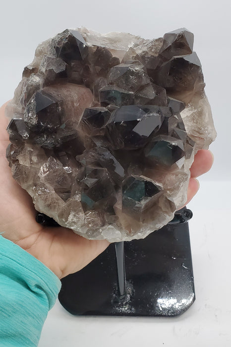 Multi-Terminated Points Smoky Quartz on custom stand