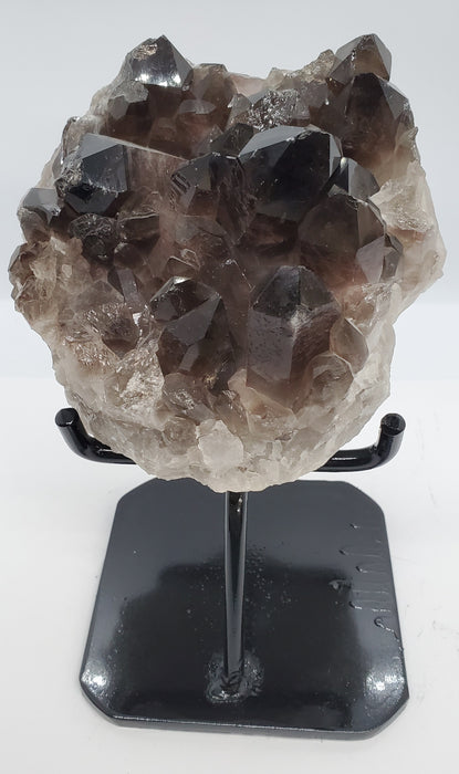Multi-Terminated Points Smoky Quartz on custom stand