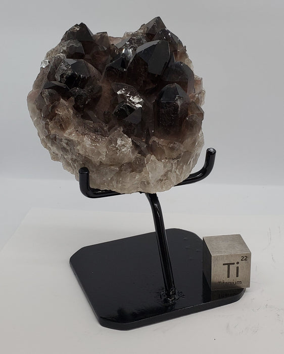 Multi-Terminated Points Smoky Quartz on custom stand