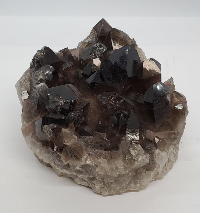 Multi-Terminated Points Smoky Quartz on custom stand