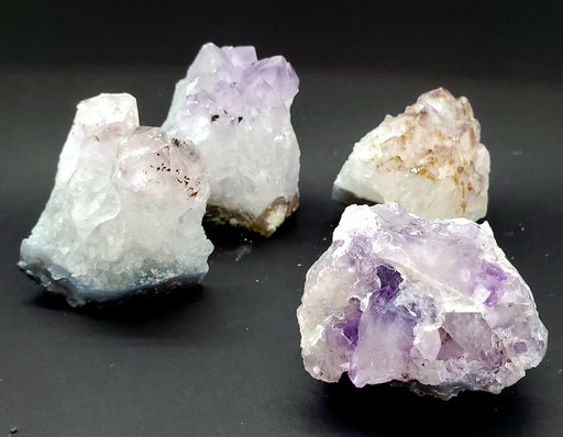 In Stone Fossils
