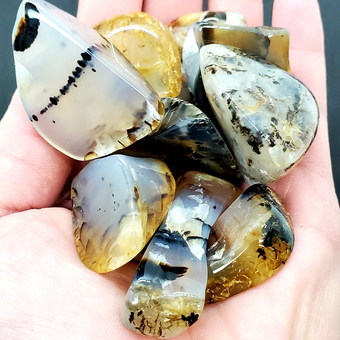 Montana Moss Agate
