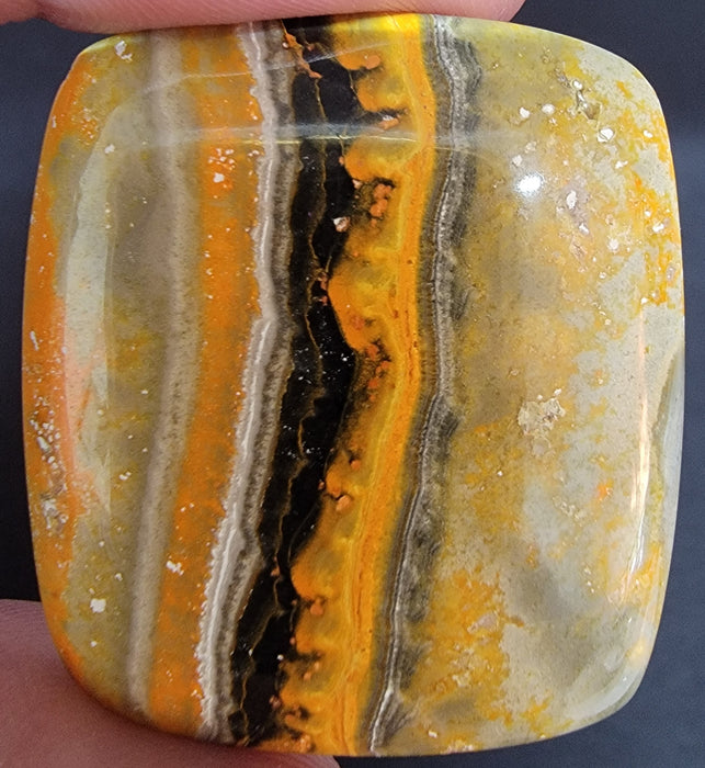 Bumble Bee Jasper Square Cabochon