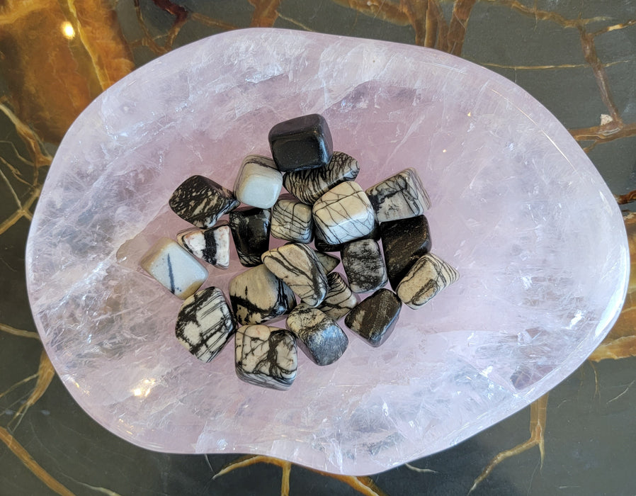Black Zebra Jasper