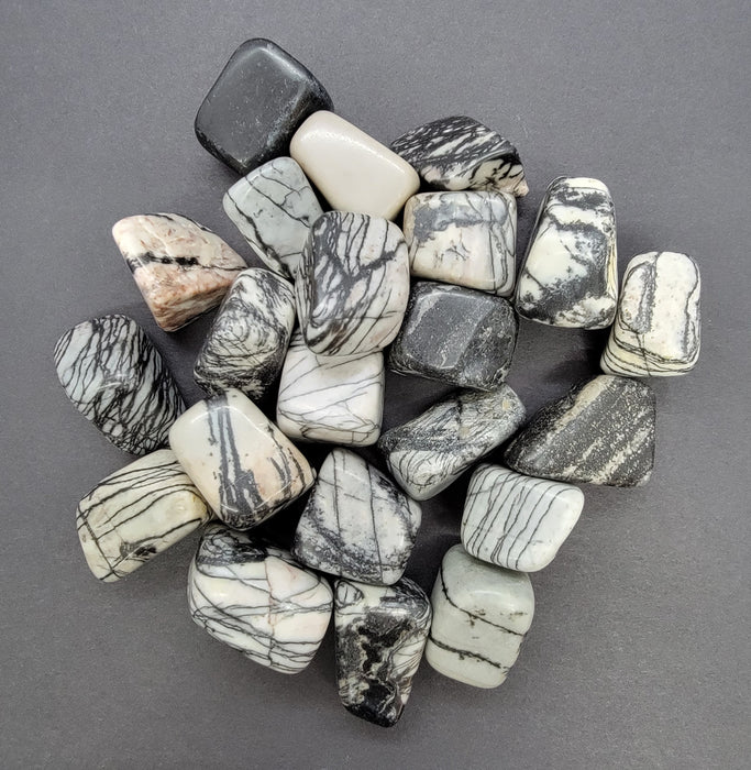 Black Zebra Jasper